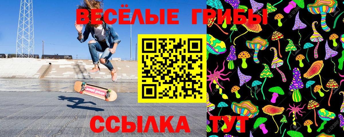 Галлюциногенные грибы прущие грибы  Вход с VPN  Ртищево 